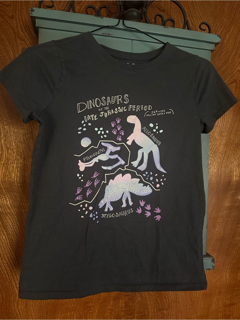 Cat & Jack Black Short-Sleeve Tee with Pastel Dinosaur Print
